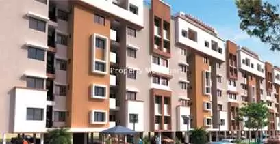 Fortune Tulip Greens