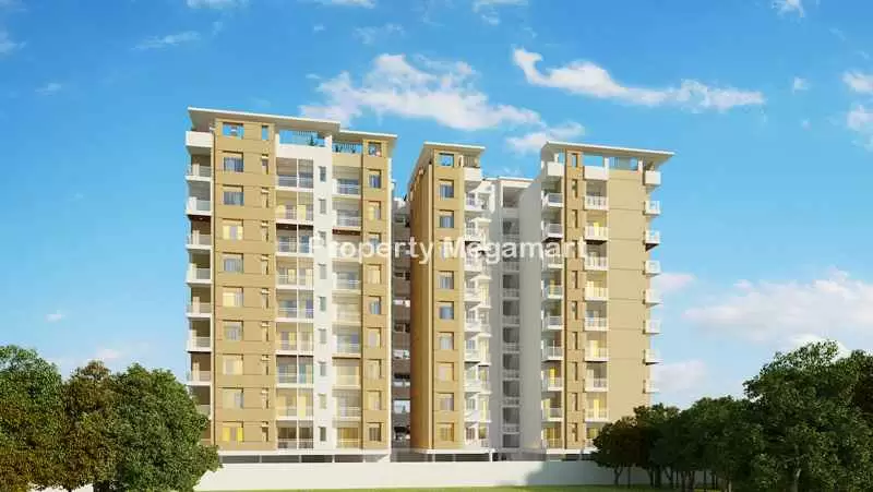 Kotecha Royal Regalia