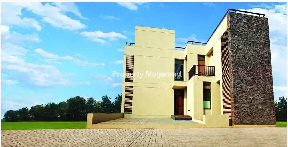 Applewood Estates Santolina