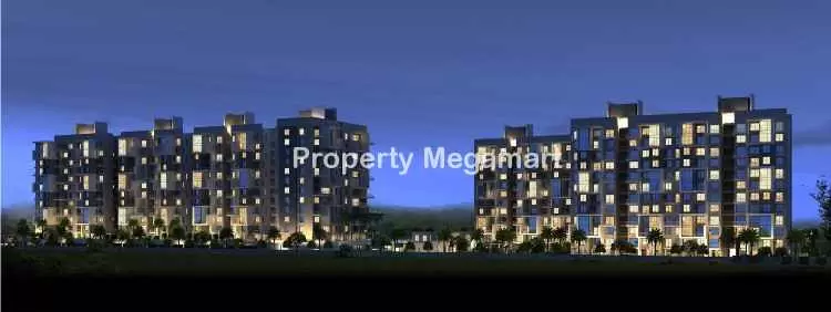 Orange County Foundation Royal Orange County